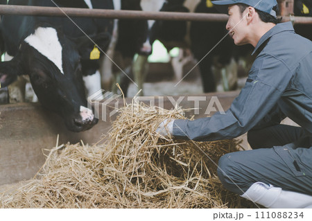 ranch 111088234