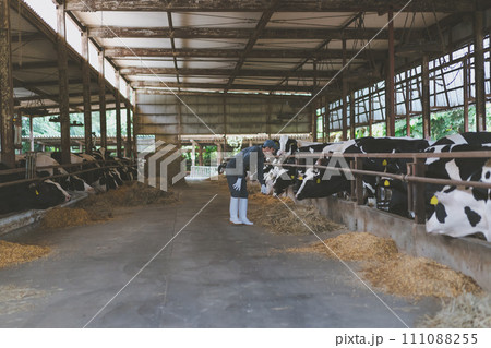ranch ranch 111088255