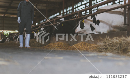 ranch ranch 111088257