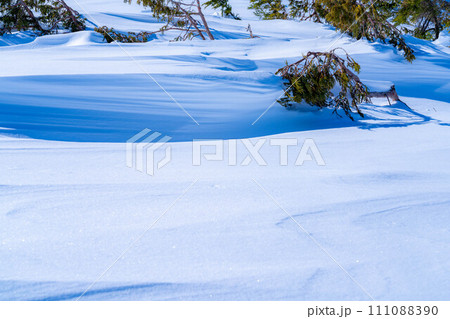 【雪素材】シュカブラ・風雪紋【長野県】 【雪素材】シュカブラ・風雪紋【長野県】 111088390