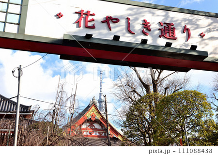 花屋敷通りから見える東京スカイツリー 花屋敷通りから見える東京スカイツリー 111088438