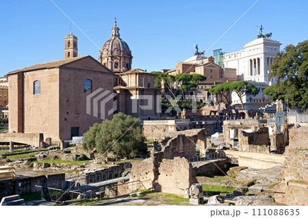 ROME, ITALY Roman ruins, excavations. Ruins of the roman Forum from the Palatine Hill 111088635