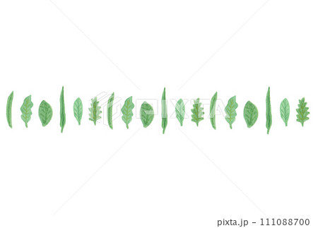 透明水彩絵の具で描いた真っすぐ並ぶ細長い葉のイラストセットB 透明水彩絵の具で描いた真っすぐ並ぶ細長い葉のイラストセットB 111088700