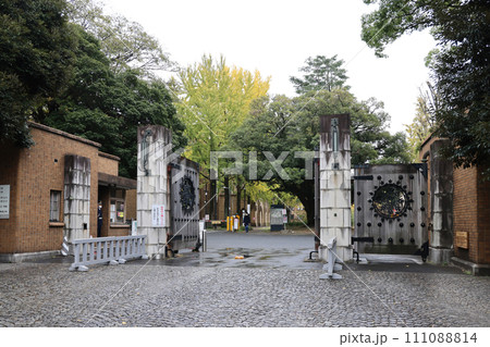 Nov 26 2023 Main gate of the University of Tokyo, 111088814