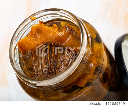 Marinated mushrooms lactarius deliciosus Marinated mushrooms lactarius deliciosus 111089249