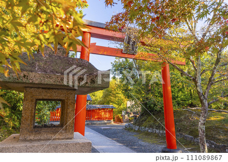 秋の京都 天龍寺の総鎮守社 八幡大社(八幡宮) 秋の京都 天龍寺の総鎮守社 八幡大社(八幡宮) 111089867