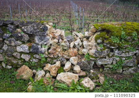 Broken stone wall protecting a vineyard after the passage of time. Broken stone wall protecting a vineyard after the passage of time. 111090325