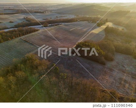 Aerial view of Bordeaux vineyard in winter at sunrise, Rions, Gironde, France Aerial view of Bordeaux vineyard in winter at sunrise, Rions, Gironde, France 111090340