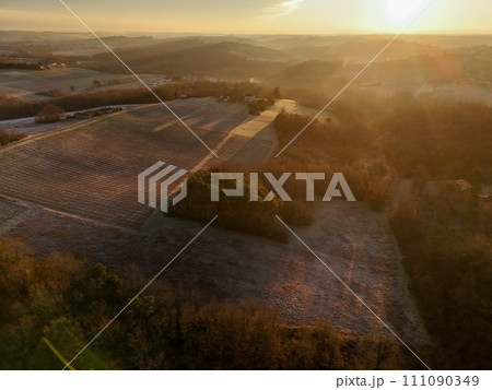 Aerial view of Bordeaux vineyard in winter at sunrise, Rions, Gironde, France 111090349