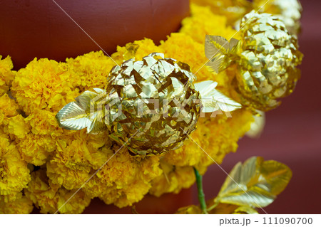 beautiful yellow flower in nature beautiful yellow flower in nature 111090700