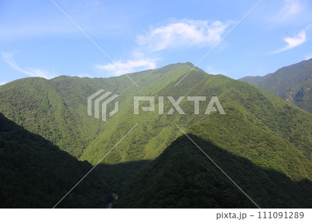 徳島 祖谷渓 徳島 祖谷渓 111091289
