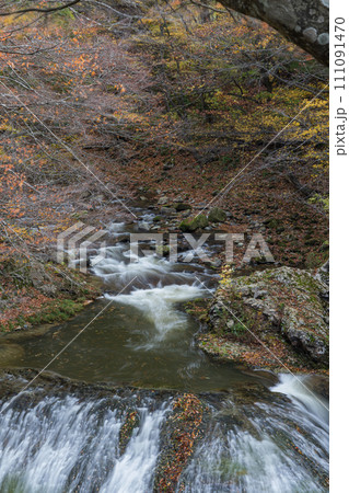 日本 山形県東根市関山にある関山大滝と紅葉した木々 日本 山形県東根市関山にある関山大滝と紅葉した木々 111091470