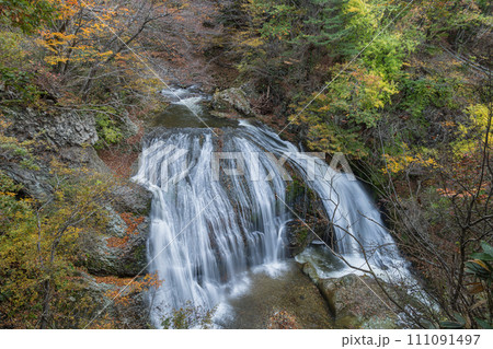 日本　山形県東根市関山にある関山大滝と紅葉した木々 111091497