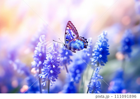 Muscari flowers and butterfly on blurred background. AI content Muscari flowers and butterfly on blurred background. AI content 111091896