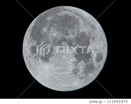 ハーベストムーン 111091974