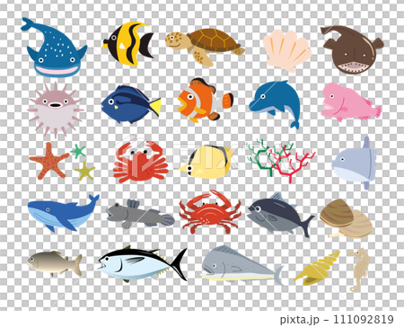 海生物設置 111092819