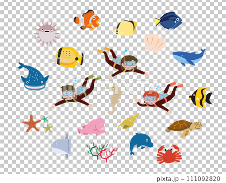 海生物設置 111092820