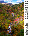 霧降の滝の紅葉 111093411