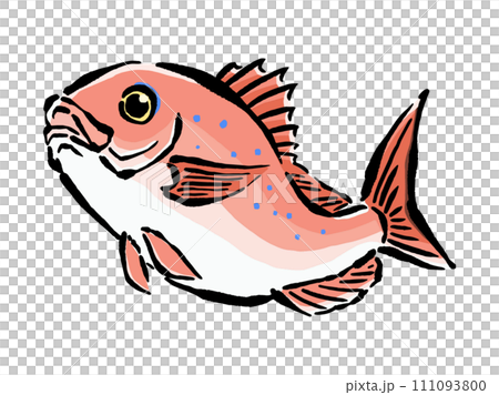 跳ねる桜鯛の手書きイラスト素材 111093800