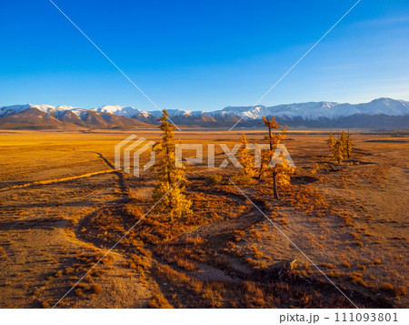 Autumn aerial view of the kurai steppe in altai with snow-capped mountains 111093801