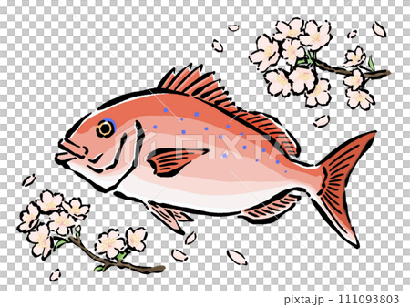 桜鯛とサクラの手書きイラスト素材　春のイメージ 111093803