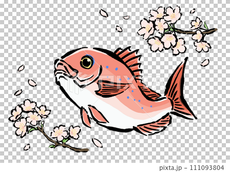 跳ねるさくら鯛と桜の手書きイラスト素材　春のイメージ 111093804