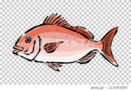 Hand-drawn Japanese style illustration material of cherry blossom sea bream Hand-drawn Japanese style illustration material of cherry blossom sea bream 111093805