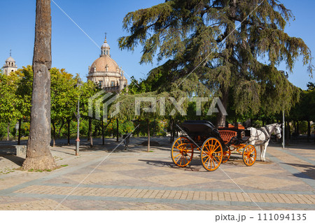 Orange horse carriage parked in front of Alcazar of Jerez de la Frontera, Spain. 111094135
