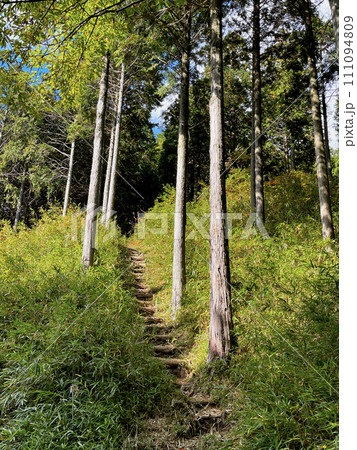 石楠花山より県道16号線明石神戸宝塚線に至る登山道 石楠花山より県道16号線明石神戸宝塚線に至る登山道 111094809