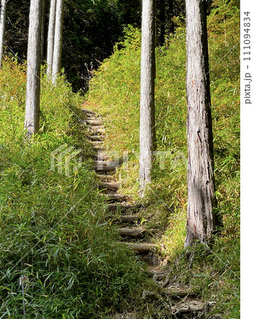 石楠花山より県道16号線明石神戸宝塚線に至る登山道 石楠花山より県道16号線明石神戸宝塚線に至る登山道 111094834