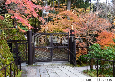 京都市 大原三千院の南門と紅葉 京都市 大原三千院の南門と紅葉 111097340