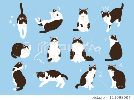 シンプルでかわいい白黒猫のイラストセット 111098007