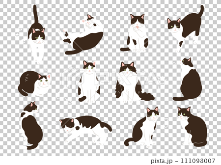 シンプルでかわいい白黒猫のイラストセット 111098007