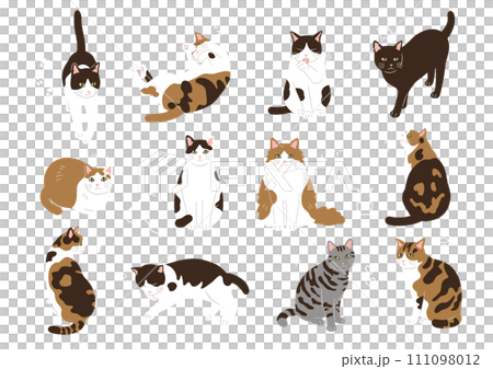 シンプルでかわいい猫のイラストセット 111098012