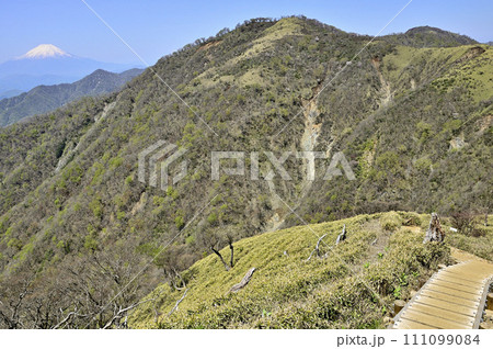 丹沢山地の丹沢山より　富士山と新緑の不動ノ峰と蛭ヶ岳 111099084