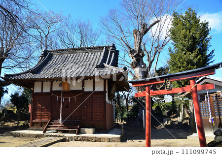埼玉県本庄市山王堂の日枝神社 111099745