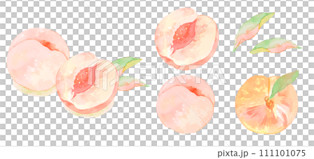 Juicy peach watercolor illustration set 111101075