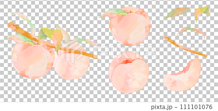 Illustration material set of delicious peaches drawn in watercolor Illustration material set of delicious peaches drawn in watercolor 111101076