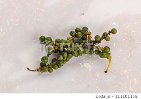 Green pepper corn heap isolated Green pepper corn heap isolated 111101158