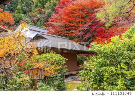 秋の京都　二尊院　色鮮やかな紅葉と御園亭 111101349