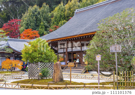秋の京都 二尊院 紅葉と本堂と橘の木 秋の京都 二尊院 紅葉と本堂と橘の木 111101376