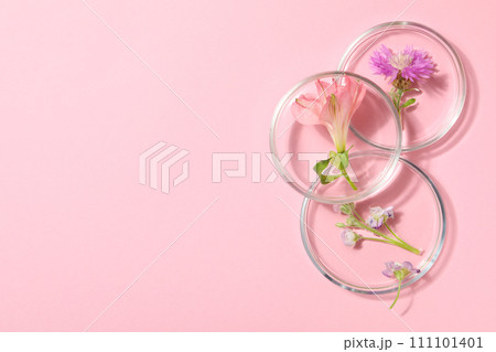 Herbal medicine, concept of herbal medicine research 111101401