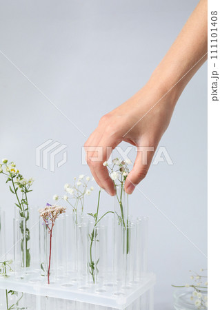 Test tubes and flowers, Herbal medicine, concept of herbal medicine research 111101408