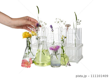 PNG, Test tubes with flowers, isolated on white background PNG, Test tubes with flowers, isolated on white background 111101409