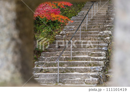 秋の京都 二尊院 色鮮やかな紅葉と湛空廟へ向かう長い石段 秋の京都 二尊院 色鮮やかな紅葉と湛空廟へ向かう長い石段 111101419