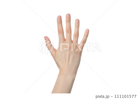 PNG,female hand, isolated on white background PNG,female hand, isolated on white background 111101577