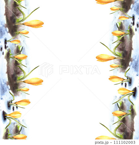 Watercolor painted illustration seamless frame vertical border Spring, the awakening of nature. Melting snow primary plants yellow crocuses Flowers sprouting through the snow Isolated white background Watercolor painted illustration seamless frame vertical border Spring, the awakening of nature. Melting snow primary plants yellow crocuses Flowers sprouting through the snow Isolated white background 111102003