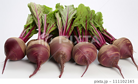 Fresh harvested beetroots with vibrant leaves on white background. 111102165