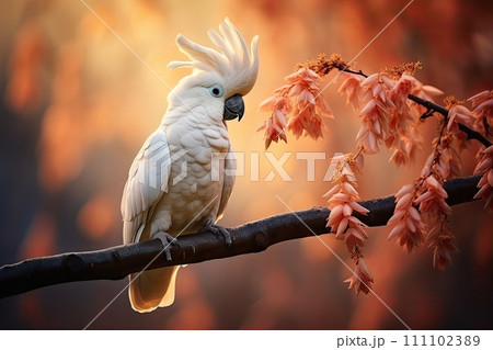 AI-generated content. cockatoo sit on branch on tropical background 111102389