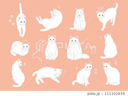 シンプルでかわいい白猫のイラストセット 111102639